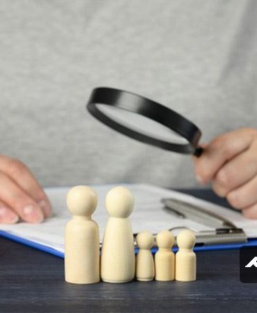 ممیز مالیاتی